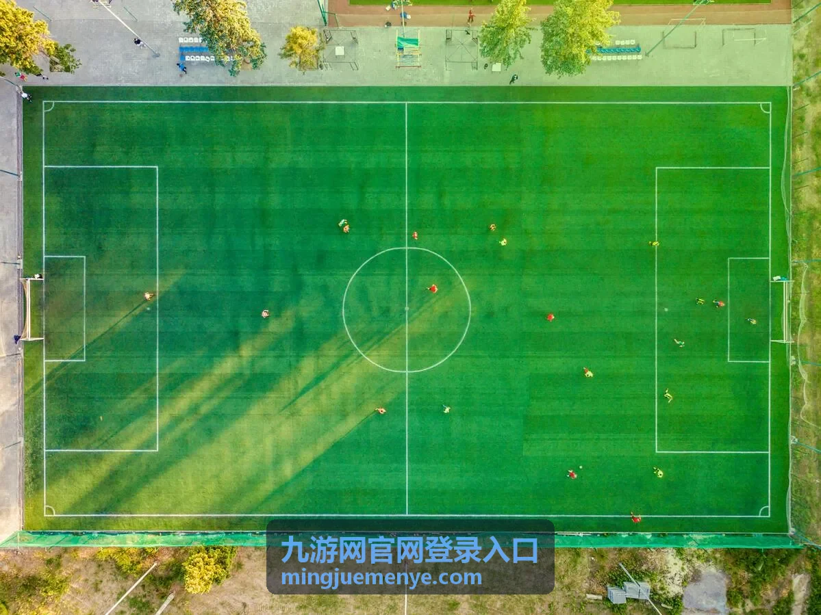 九游网官网登录入口账号保护与设备管理界面